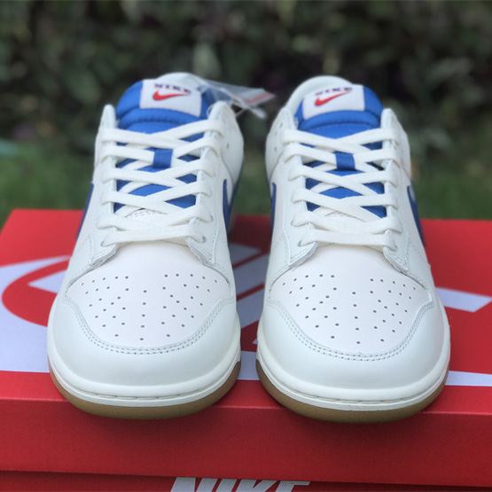 Nike Dunk Low Sneaker    DX3198-133  - PerfectKickZ