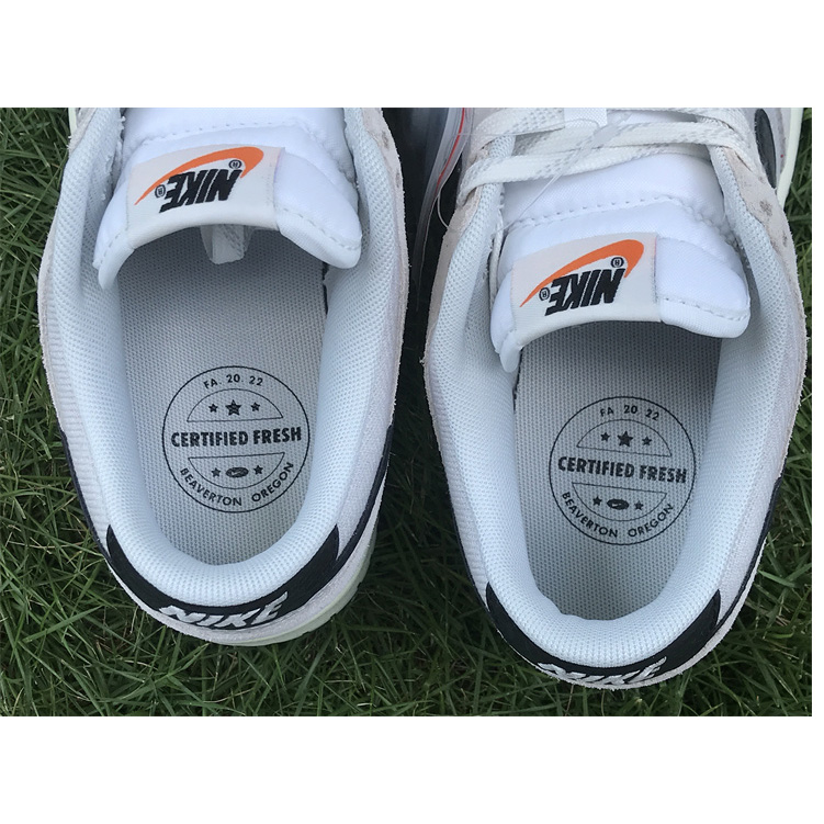 Nike Dunk Low Retro SE''Certifled Fresh''Sneaker    DO9776-001 - 
