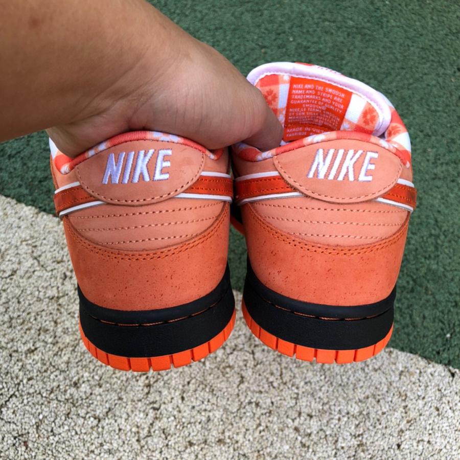 Concepts x Nike Sb Dunk Low "Orange Lobster" Sneaker    FD8776-800 - 