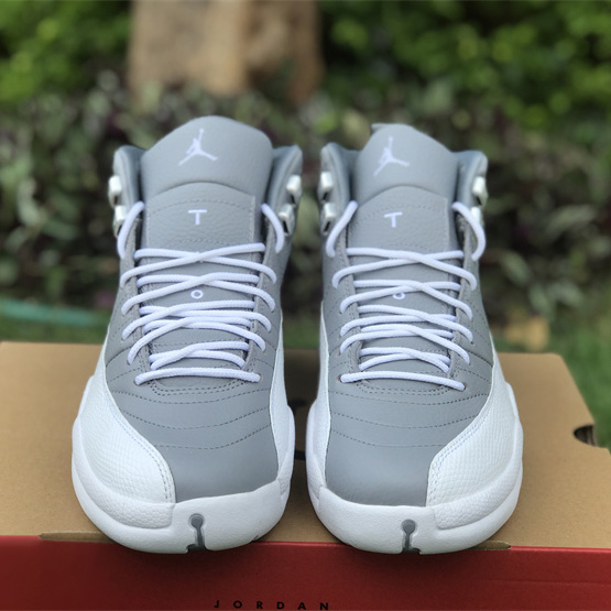 Air Jordan 12 “Stealth” Sneaker   CT8013-015  - PerfectKickZ