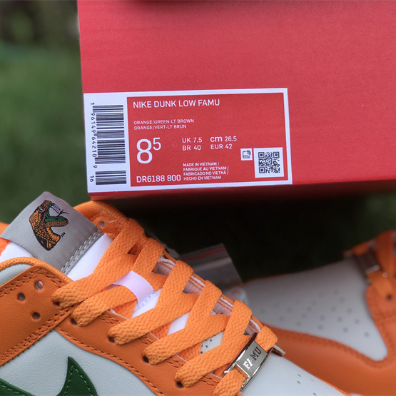 Nike SB Dunk Low 'Famu' Sneaker    DR6188-800 - PerfectKickZ