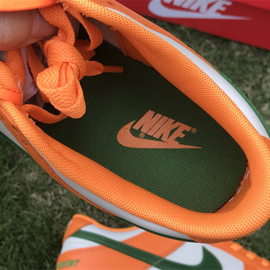 Nike SB Dunk Low 'Famu' Sneaker    DR6188-800 - PerfectKickZ