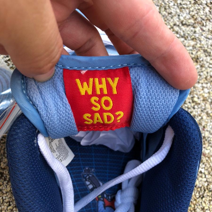 Why So Sad? x Nike SB Dunk Low Pro Sneaker   dx5549-400 - PerfectKickZ