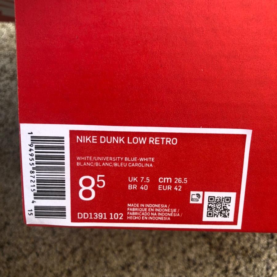 Nike Dunk Low Retro Sneaker      DD1391-102 - PerfectKickZ