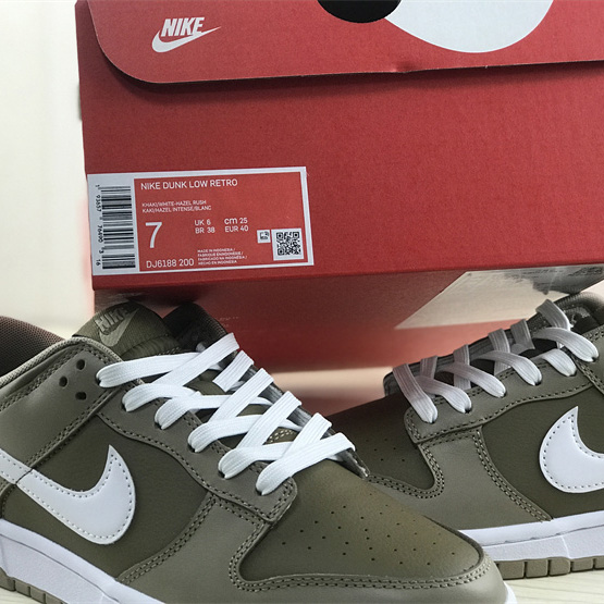 Nike Dunk Low “Judge Grey”Sneaker   DJ6188-200 - PerfectKickZ