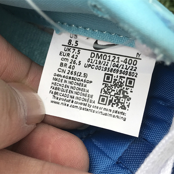 Nike Dunk Low “Argon” Sneaker      DM0121-400 - PerfectKickZ