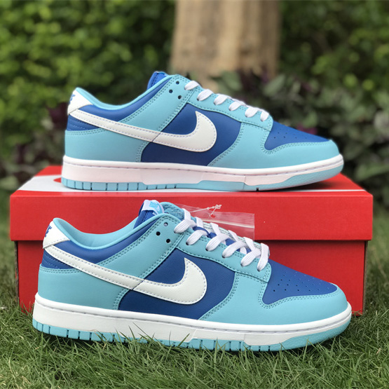 Nike Dunk Low “Argon” Sneaker      DM0121-400 - PerfectKickZ