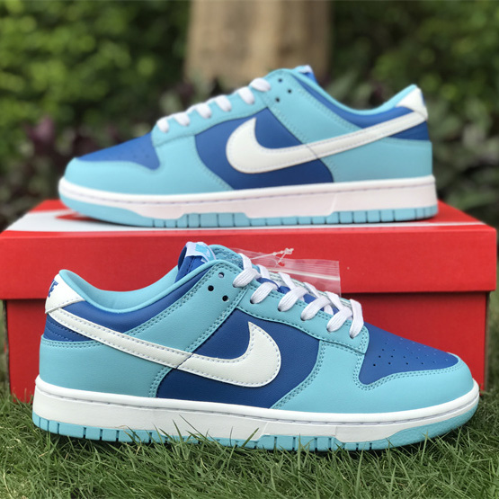 Nike Dunk Low “Argon” Sneaker      DM0121-400 - PerfectKickZ