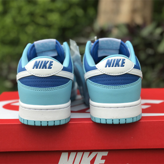 Nike Dunk Low “Argon” Sneaker      DM0121-400 - PerfectKickZ