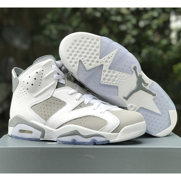 Air Jordan 6 “Cool Grey” Sneaker CT8529-100 - PerfectKickZ