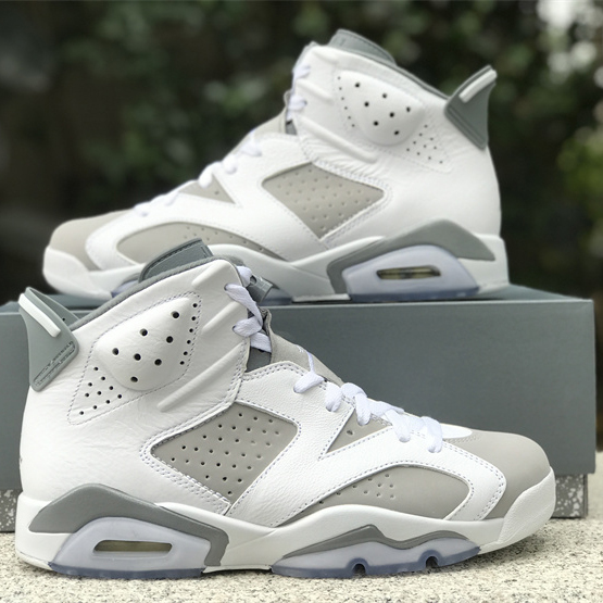Air Jordan 6 “Cool Grey” Sneaker CT8529-100 - PerfectKickZ