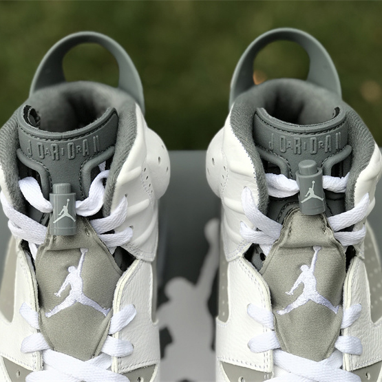 Air Jordan 6 “Cool Grey” Sneaker CT8529-100 - PerfectKickZ