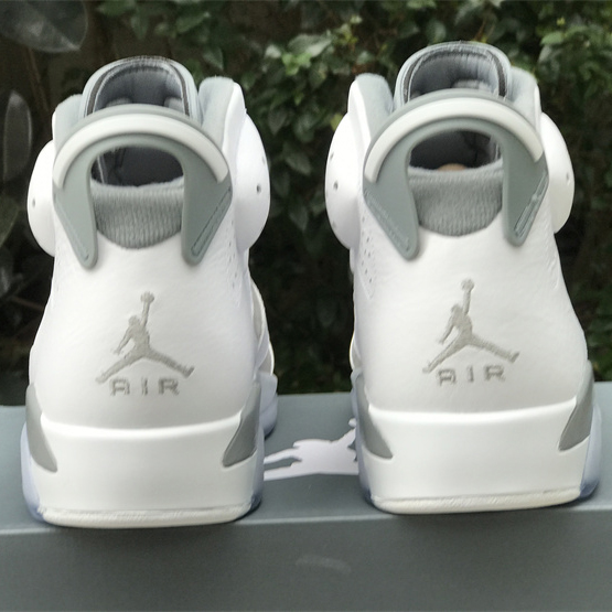 Air Jordan 6 “Cool Grey” Sneaker CT8529-100 - PerfectKickZ
