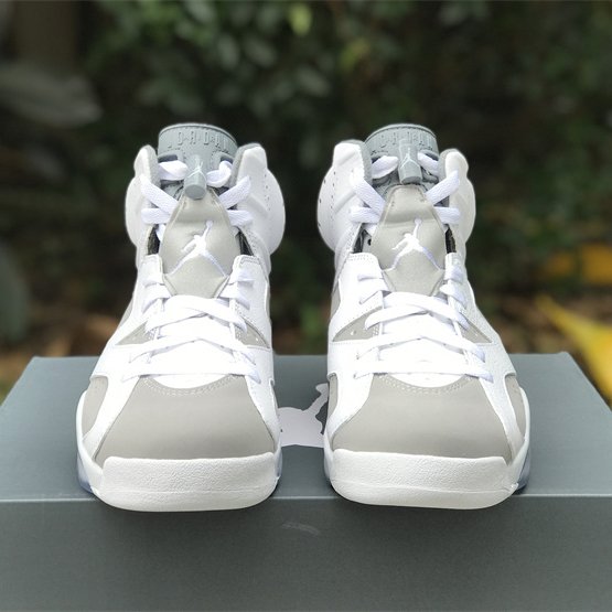 Air Jordan 6 “Cool Grey” Sneaker CT8529-100 - PerfectKickZ