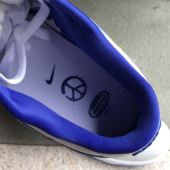 Nike SB Dunk Low Sneaker       FB1841-110 - PerfectKickZ