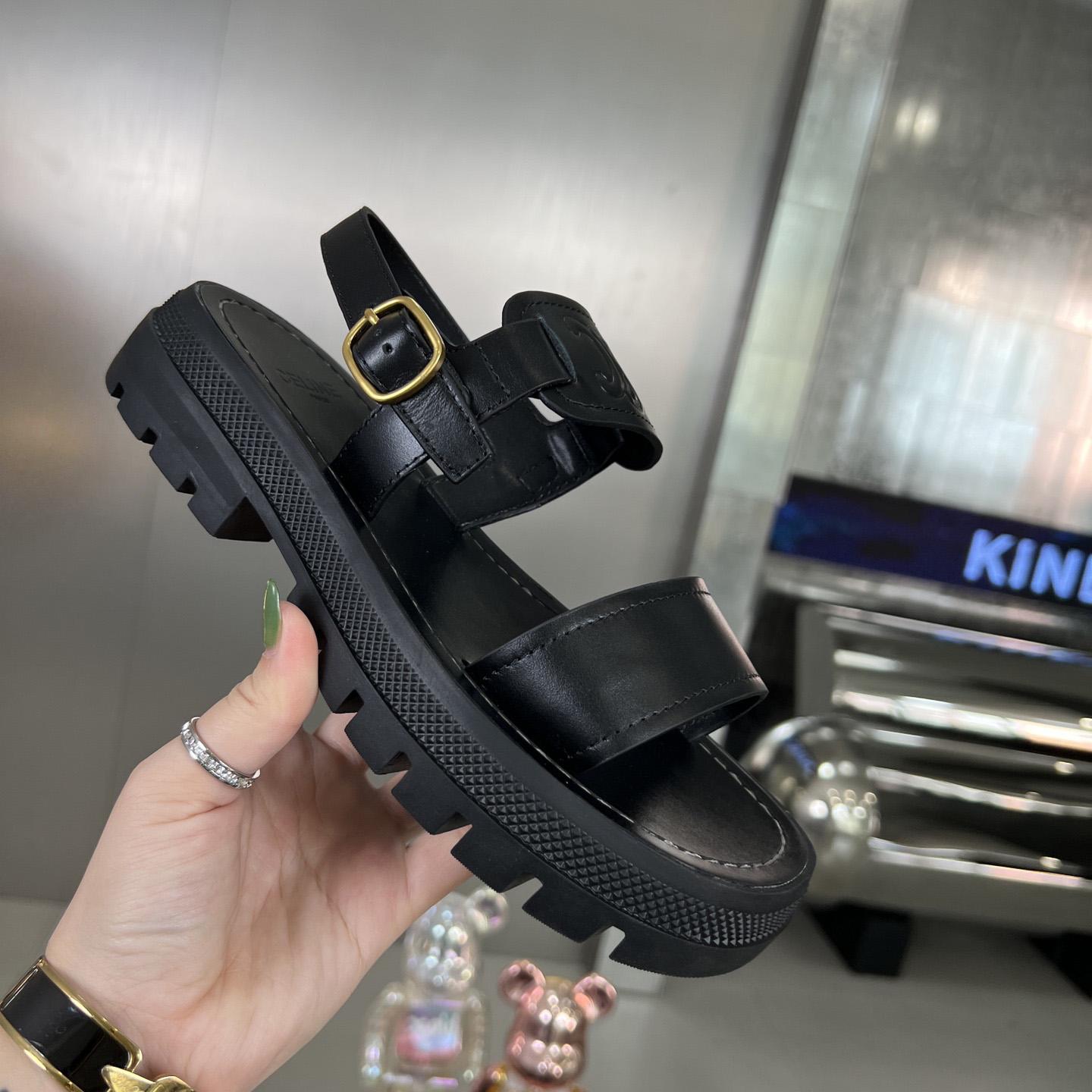 Celine Clea Triomphe Sandal In Vegetable - PerfectKickZ