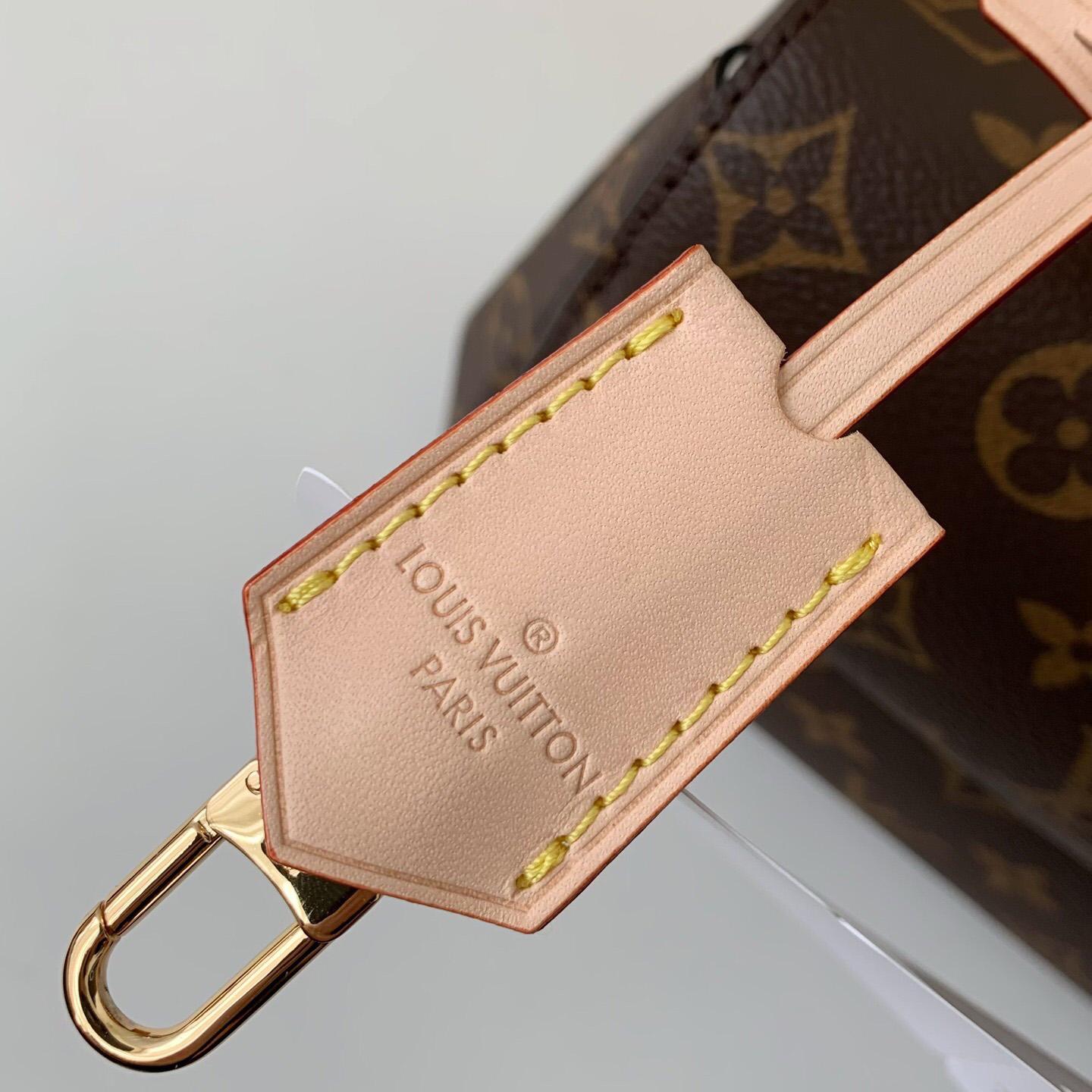 Louis Vuitton Cluny Mini Handbag  (20*16*7.5cm)    M46055 - PerfectKickZ