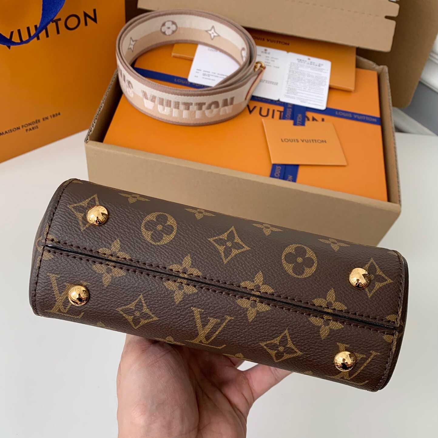 Louis Vuitton Cluny Mini Handbag  (20*16*7.5cm)    M46055 - PerfectKickZ