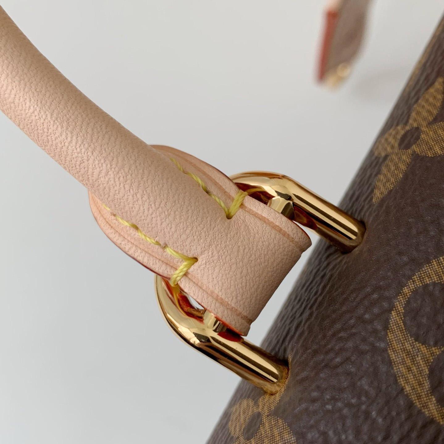 Louis Vuitton Cluny Mini Handbag  (20*16*7.5cm)    M46055 - PerfectKickZ