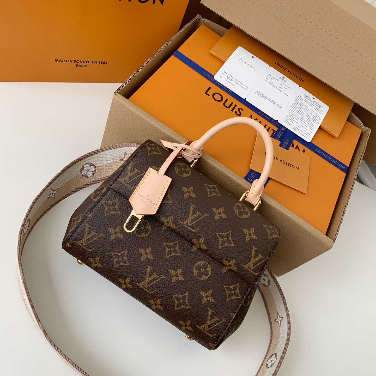 Louis Vuitton Cluny Mini Handbag  (20*16*7.5cm)    M46055 - PerfectKickZ