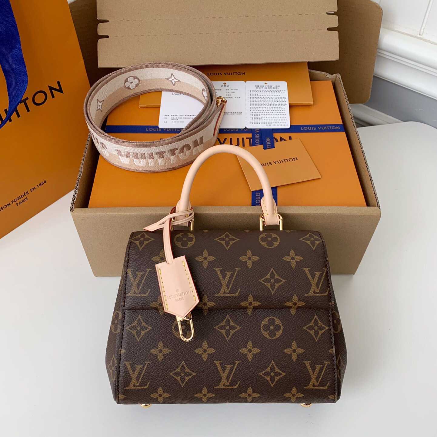 Louis Vuitton Cluny Mini Handbag  (20*16*7.5cm)    M46055 - PerfectKickZ