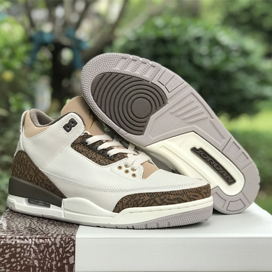 Air Jordan 3 “Wizards” Basketball Shoes   CT8532-148 - PerfectKickZ