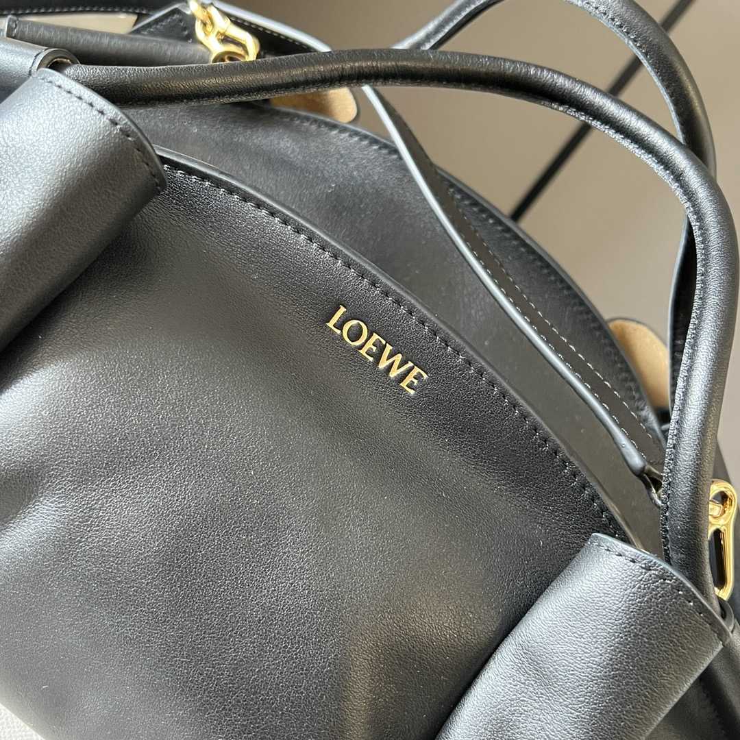 Loewe Paseo Bag In Shiny Nappa Calfskin - 