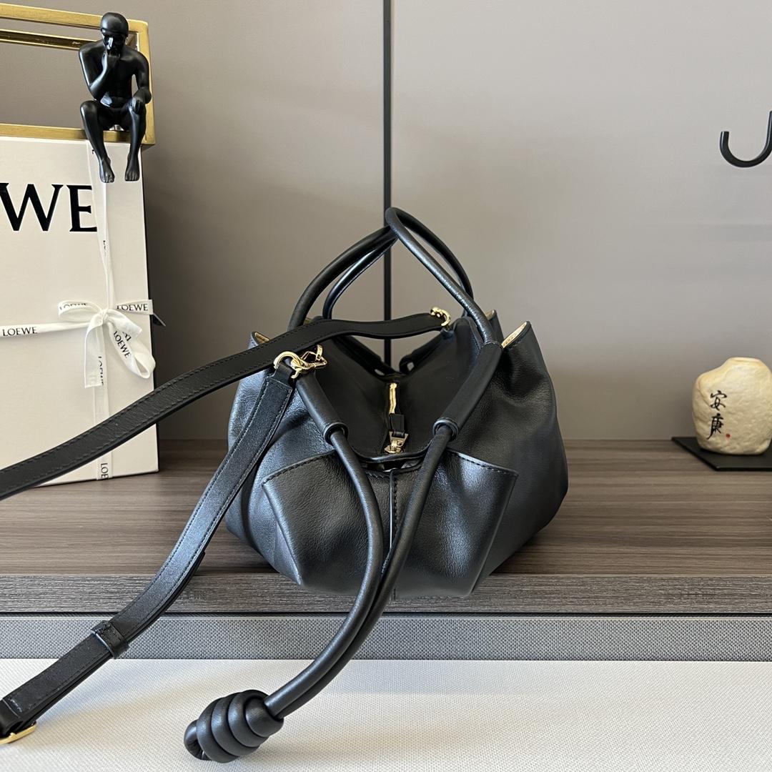 Loewe Paseo Bag In Shiny Nappa Calfskin - 