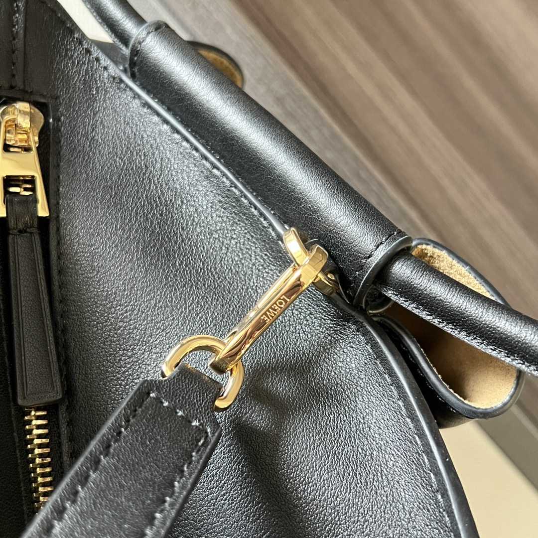 Loewe Paseo Bag In Shiny Nappa Calfskin - 