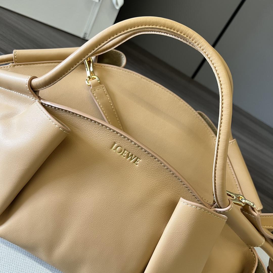 Loewe Paseo Bag In Shiny Nappa Calfskin - 