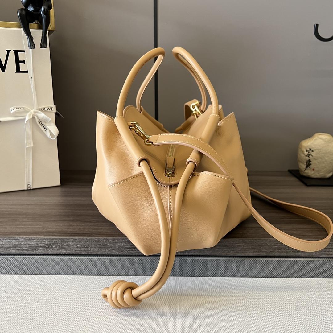 Loewe Paseo Bag In Shiny Nappa Calfskin - 
