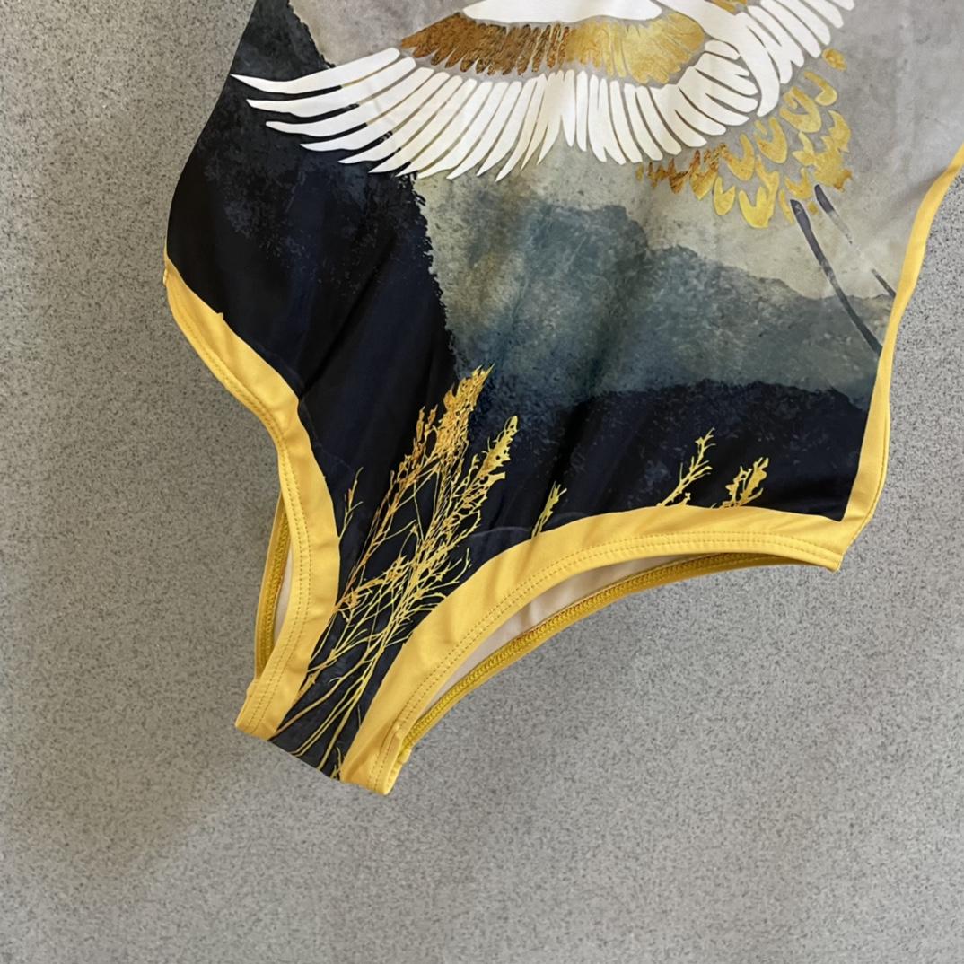 Dior One Piece Swimsuit - PerfectKickZ