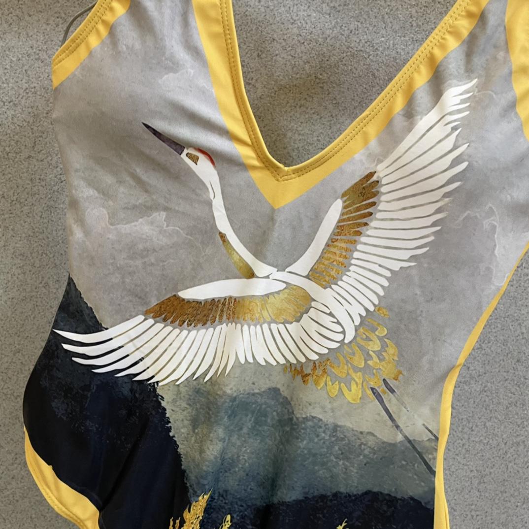 Dior One Piece Swimsuit - PerfectKickZ