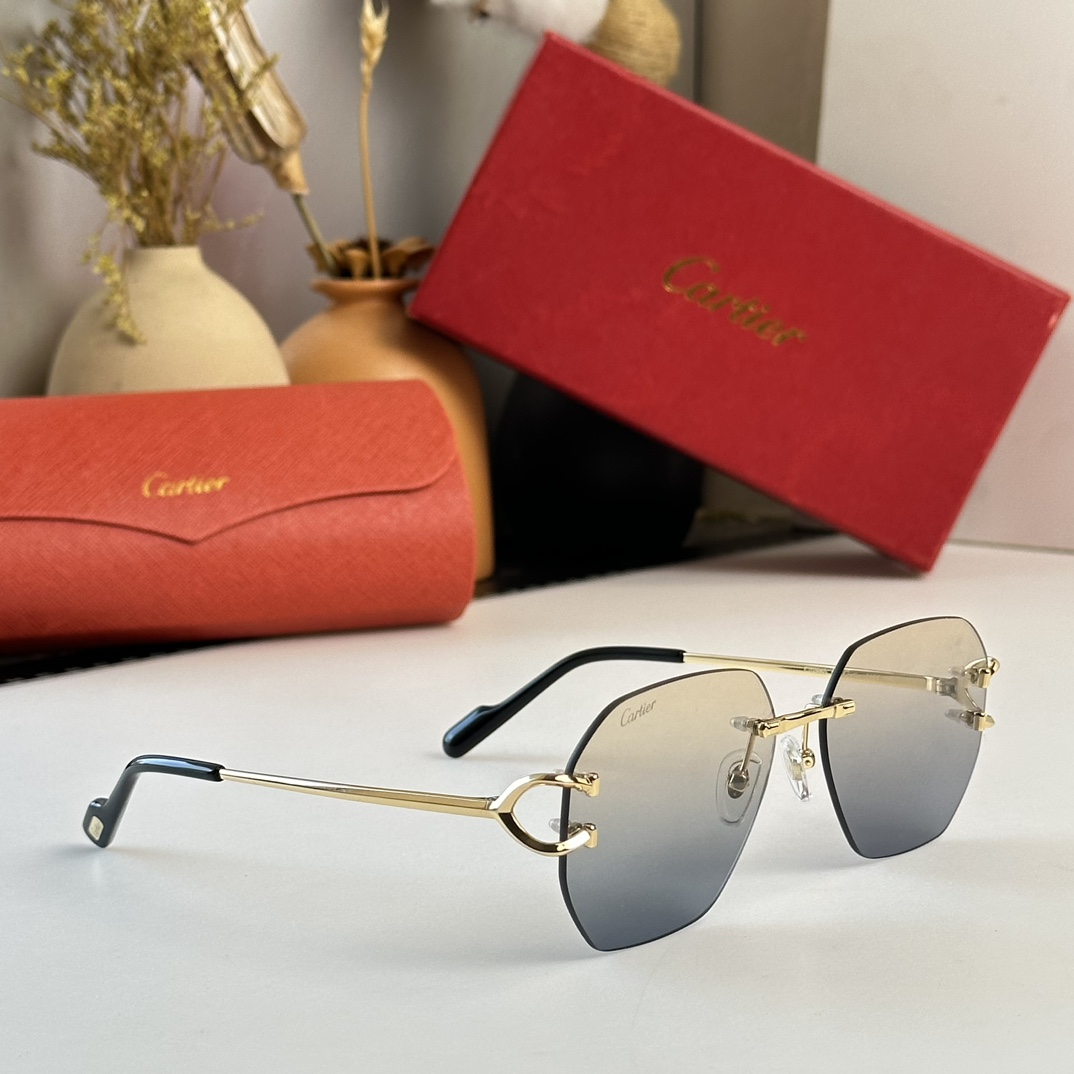 Cartier Sunglasses      CT0386S - PerfectKickZ