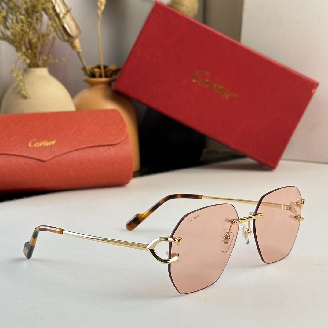 Cartier Sunglasses      CT0386S - PerfectKickZ