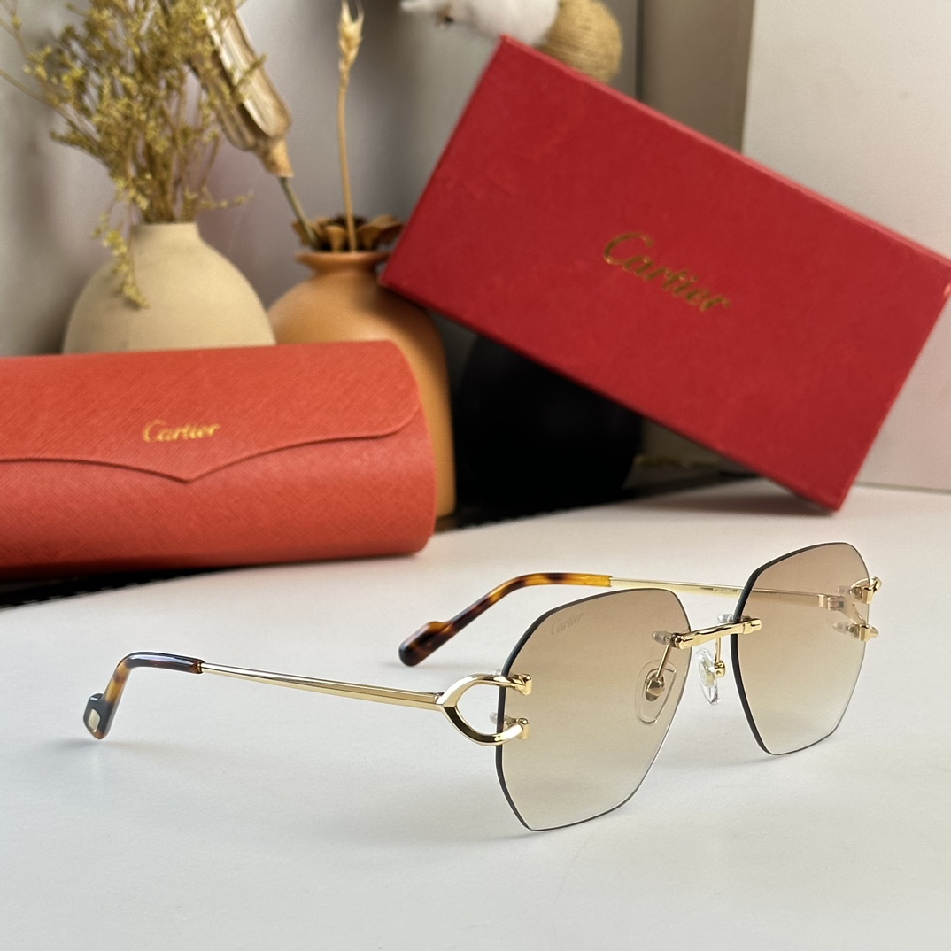 Cartier Sunglasses      CT0386S - PerfectKickZ