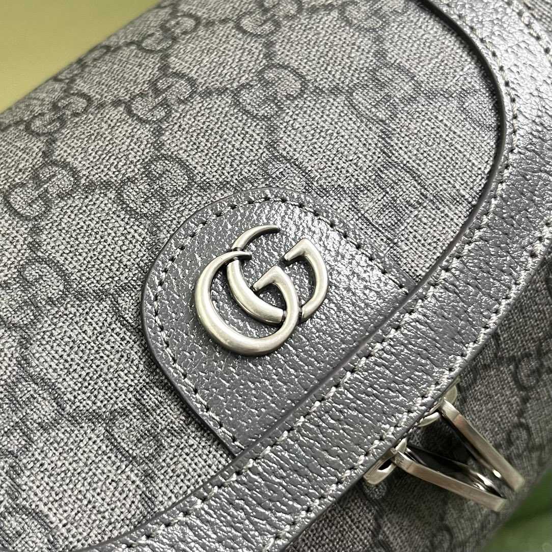 Gucci Ophidia Toiletry Case  (24-13-28cm) - PerfectKickZ