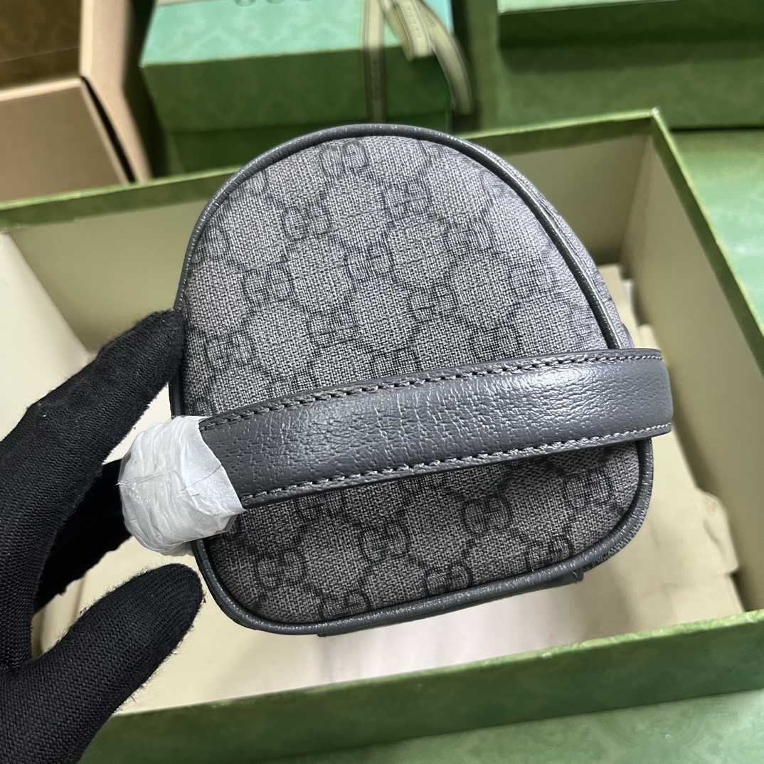 Gucci Ophidia Toiletry Case  (24-13-28cm) - 