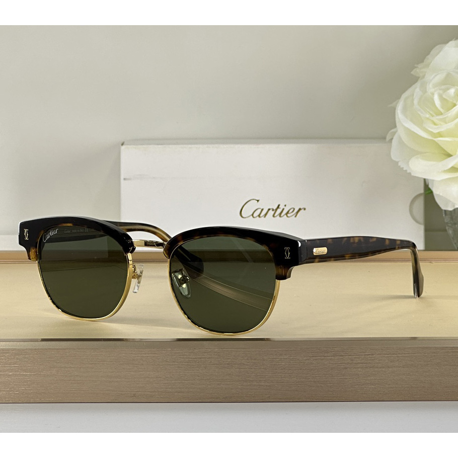 Cartier D-Frame Tortoiseshell Acetate Sunglasses   CT0366 - PerfectKickZ