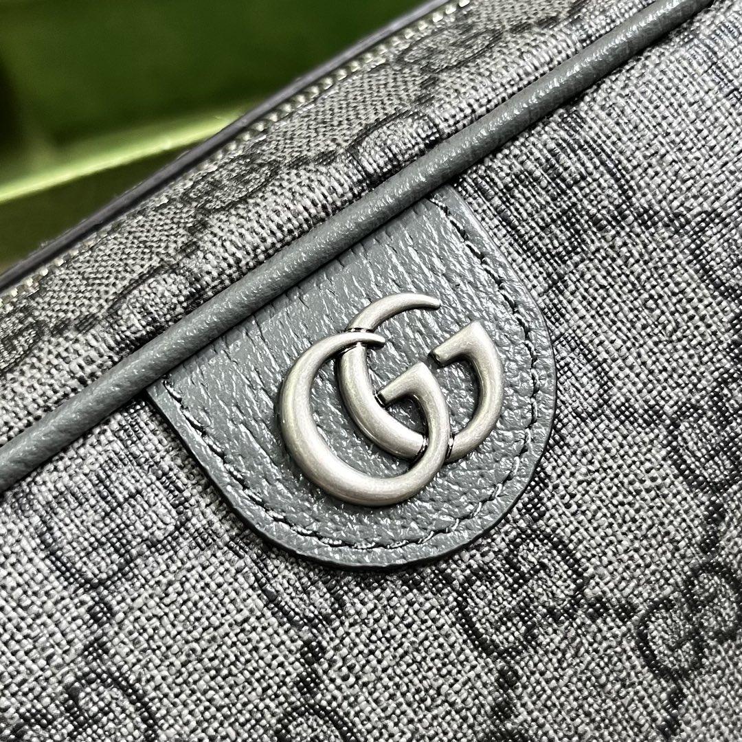 Gucci Ophidia GG Toiletry Case (14.5x 23.5x 6.5cm) - PerfectKickZ