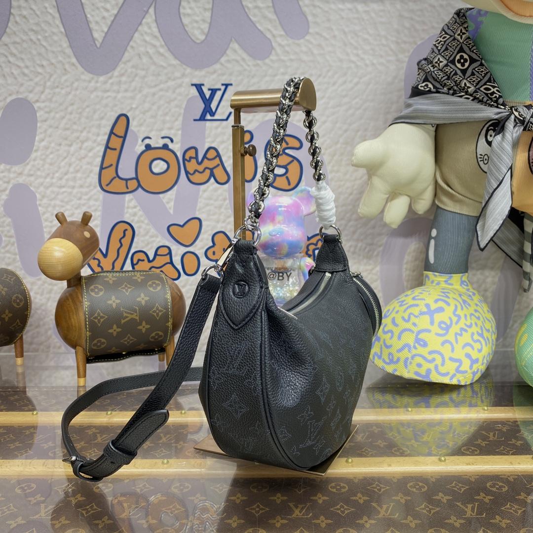 Louis Vuitton Baia PM (26 *17 *7.5cm)    M22819 - PerfectKickZ