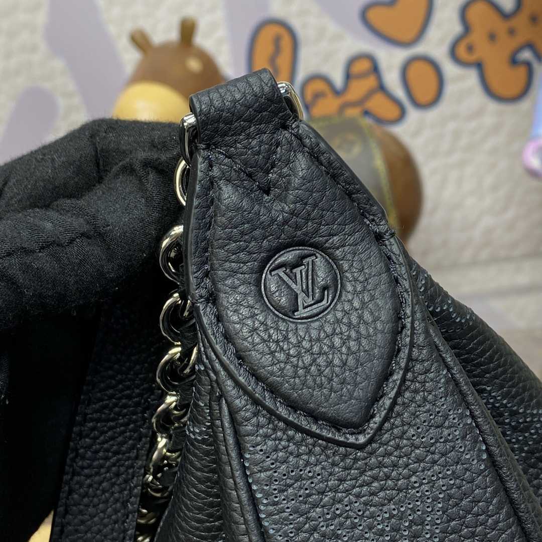 Louis Vuitton Baia PM (26 *17 *7.5cm)    M22819 - PerfectKickZ