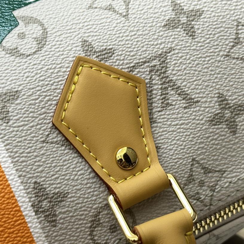 Louis Vuitton Speedy Bandoulière 25 (25-19-15cm)  M46749 - PerfectKickZ