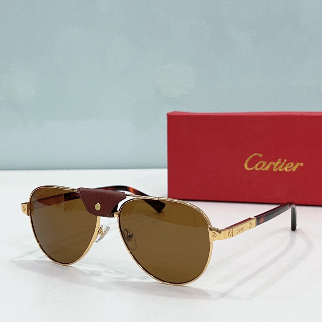 Cartier Sunglasses     - PerfectKickZ