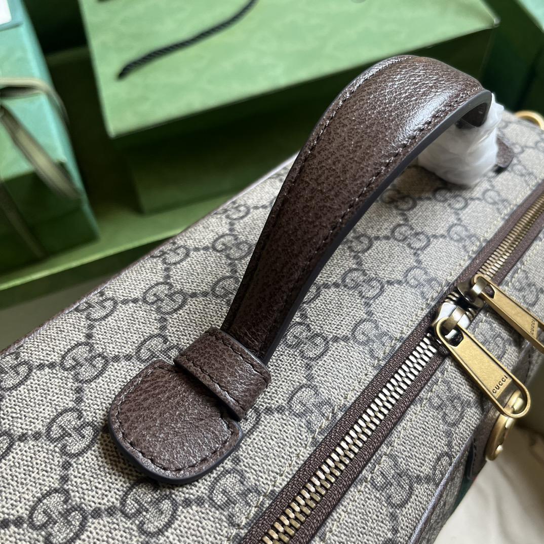 Gucci Savoy Shoe Case  (22x 36x 16cm) - PerfectKickZ