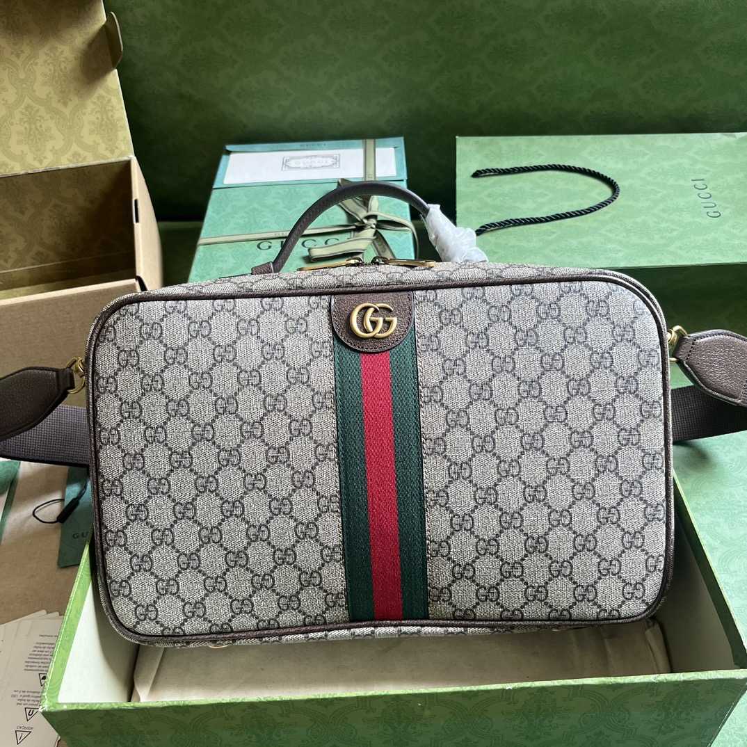 Gucci Savoy Shoe Case  (22x 36x 16cm) - PerfectKickZ