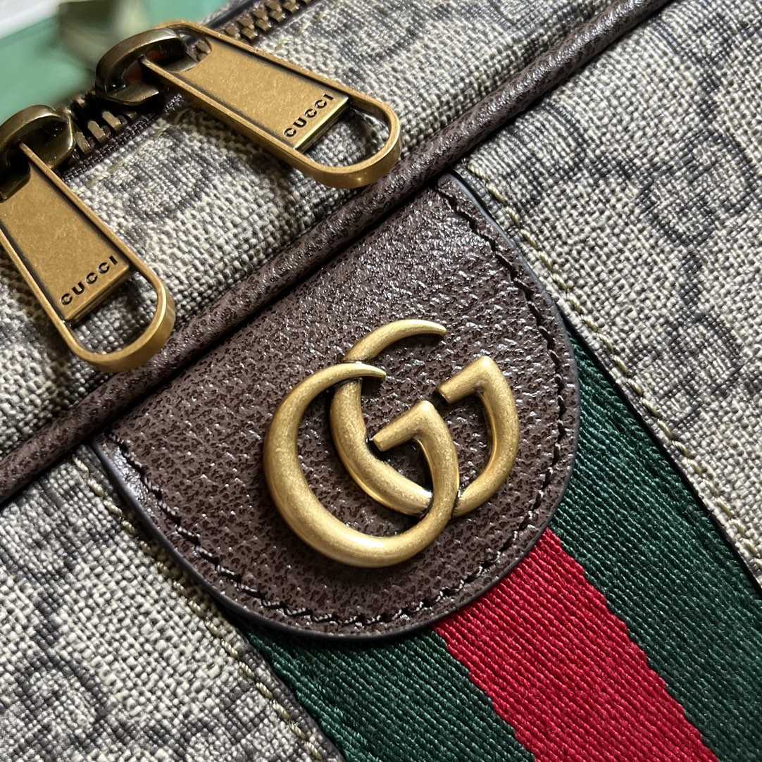 Gucci Savoy Shoe Case  (22x 36x 16cm) - PerfectKickZ