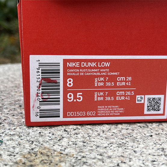 Nike Dunk Low “Canyon Rust Sneakers      DD1503-602 - PerfectKickZ