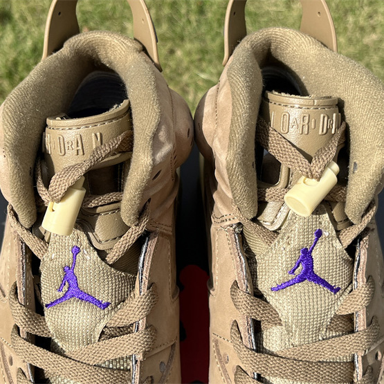 Air Jordan 6 Gore-Tex “Brown Kelp”  Sneaker               FD1643-300 - PerfectKickZ