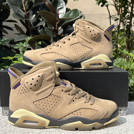 Air Jordan 6 Gore-Tex “Brown Kelp”  Sneaker               FD1643-300 - PerfectKickZ
